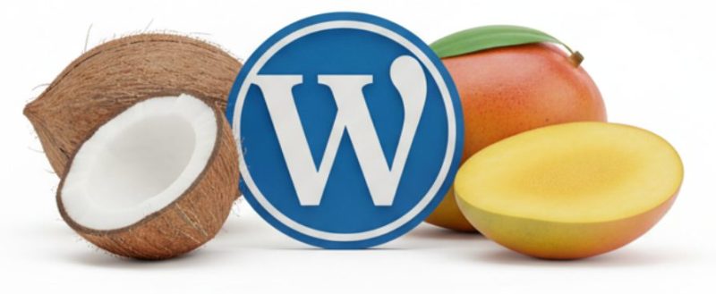 Wordpress - Coco Mango